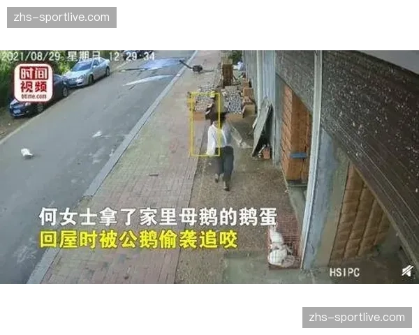 “聚焦:二年级生廖三宁如何成长为北控后场防守的第一道闸” “聚焦:二年级生廖三宁如何成长为北控后场防守的第一道闸”